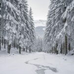 Aventure hivernale au cœur de la mystérieuse Forêt Noire en Allemagne